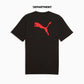 PUMA INDIVIDUALRISE LOGO