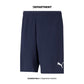 PUMA TEAMRISE