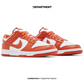 NIKE DUNK LOW RETRO