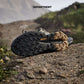 ADIDAS TERREX TRAILMAKER 2