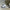 NIKE AIR MAX SYSTM Department