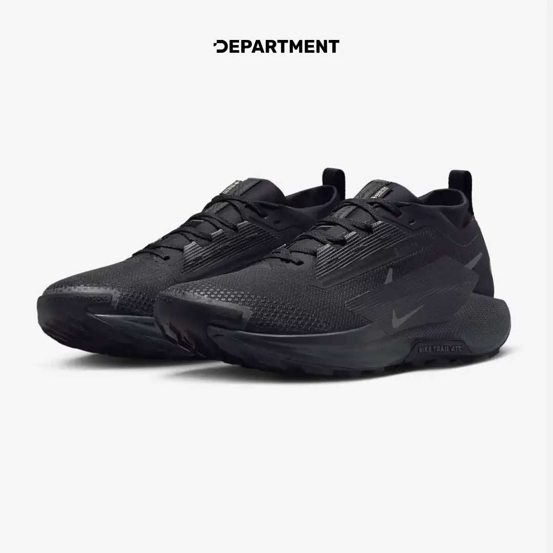 NIKE PEGASUS TRAIL 5 GORE-TEX