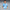 PUMA MANCHESTER CITY 25/26 JR HOME REPLICA Department