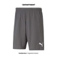 PUMA TEAMRISE