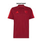 ADIDAS ARSENAL FC DNA