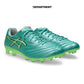ASICS DS LIGHT X-FLY PRO 3