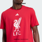 ADIDAS LIVERPOOL FC DNA GRAPHIC