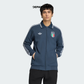 ADIDAS ITALY 2026 AWAY ANTHEM