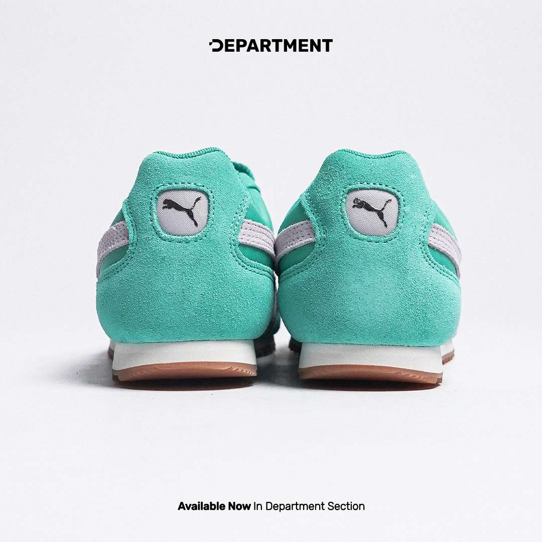PUMA ARIZONA