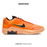 NIKE LEBRON WITNESS IX EP