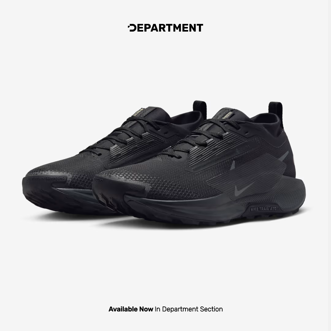 NIKE PEGASUS TRAIL 5 GORE-TEX