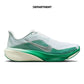 NIKE W PEGASUS 42