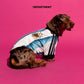 ADIDAS ARGENTINA 2026 HOME PET
