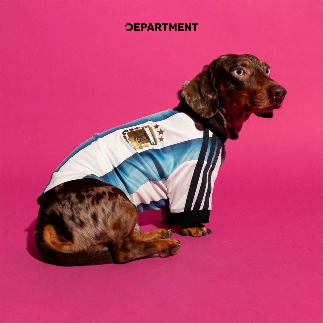 ADIDAS ARGENTINA 2026 HOME PET