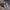 ADIDAS RUNBLAZE W