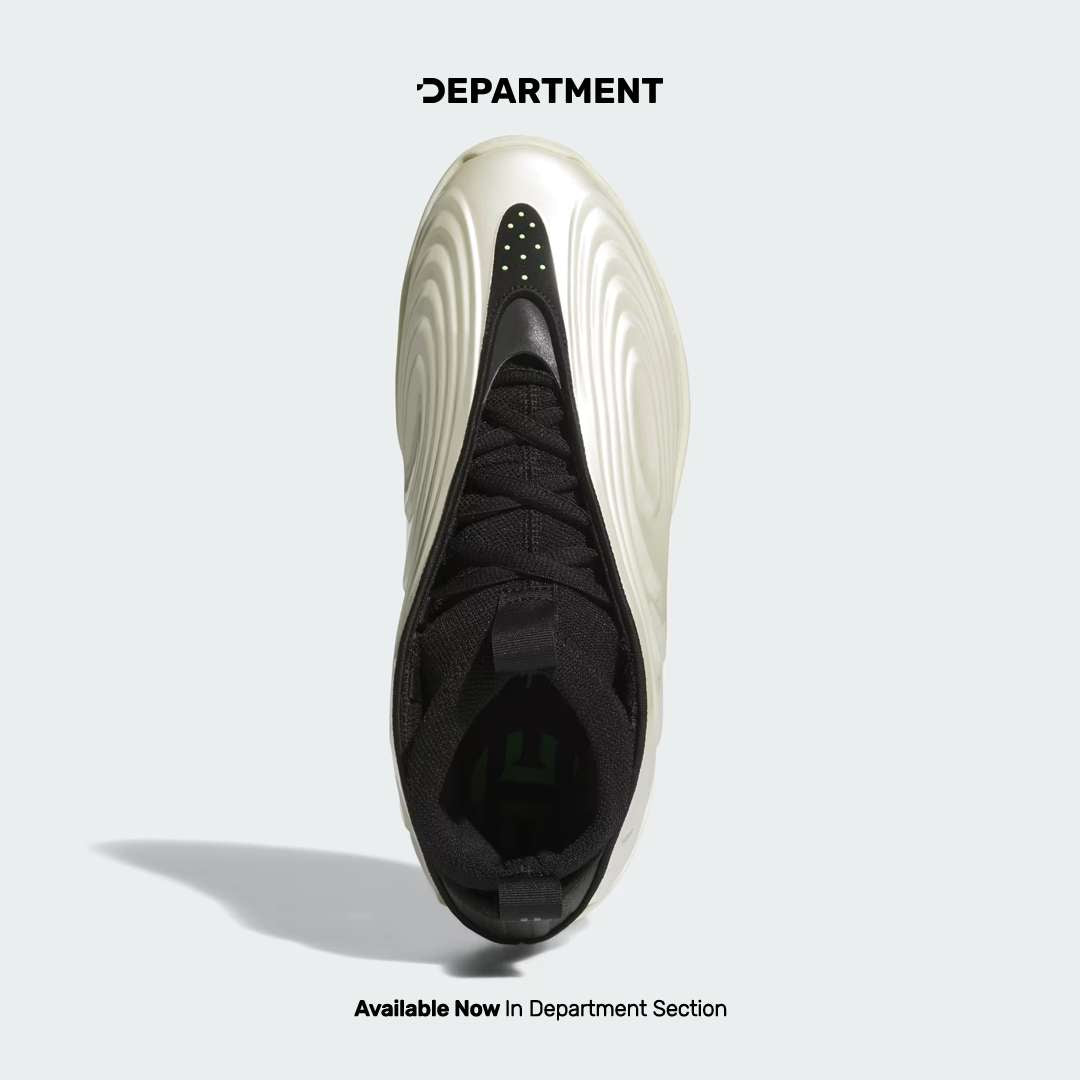 ADIDAS HARDEN VOLUME 10
