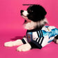 ADIDAS ARGENTINA 2026 HOME PET