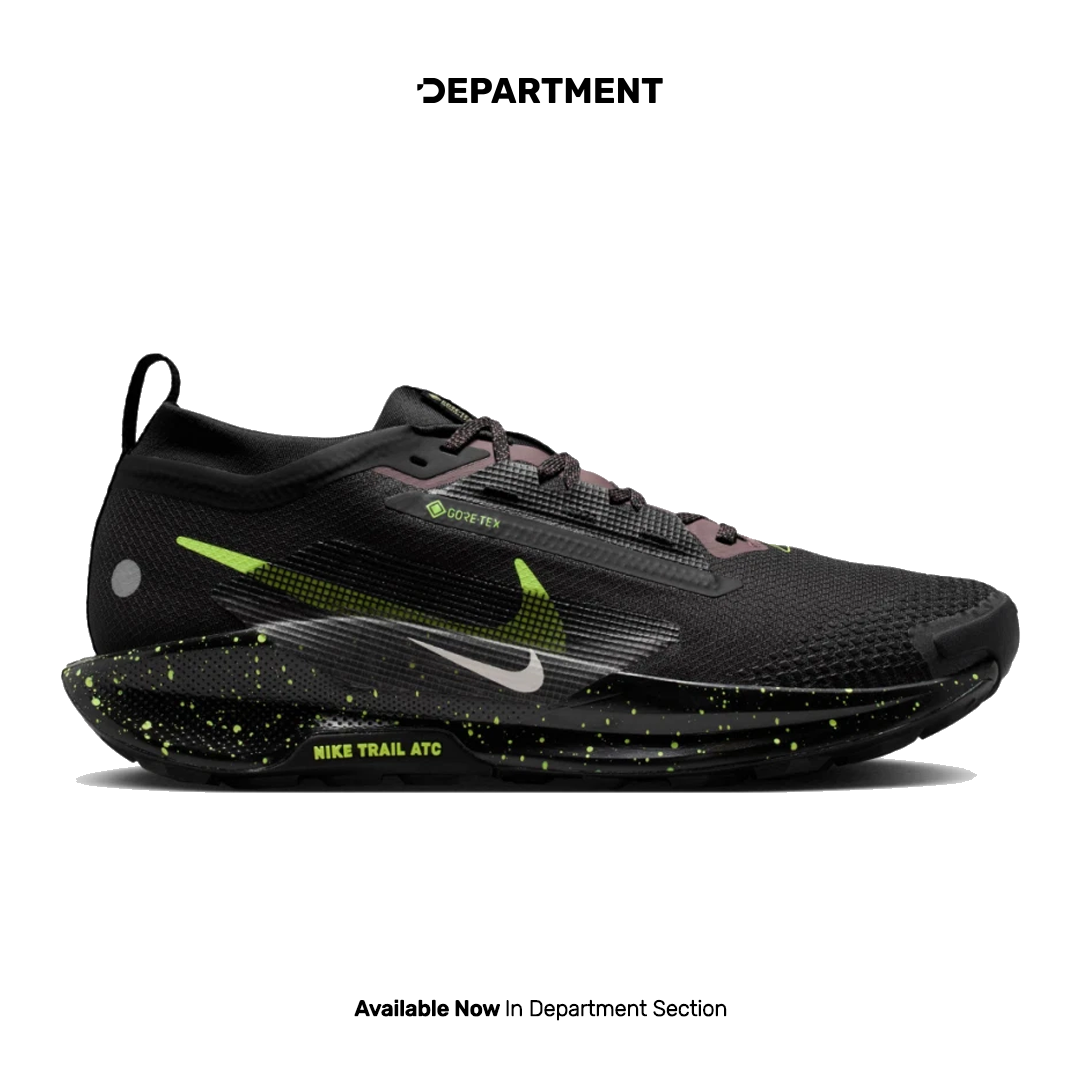 NIKE PEGASUS TRAIL 5 GORE-TEX