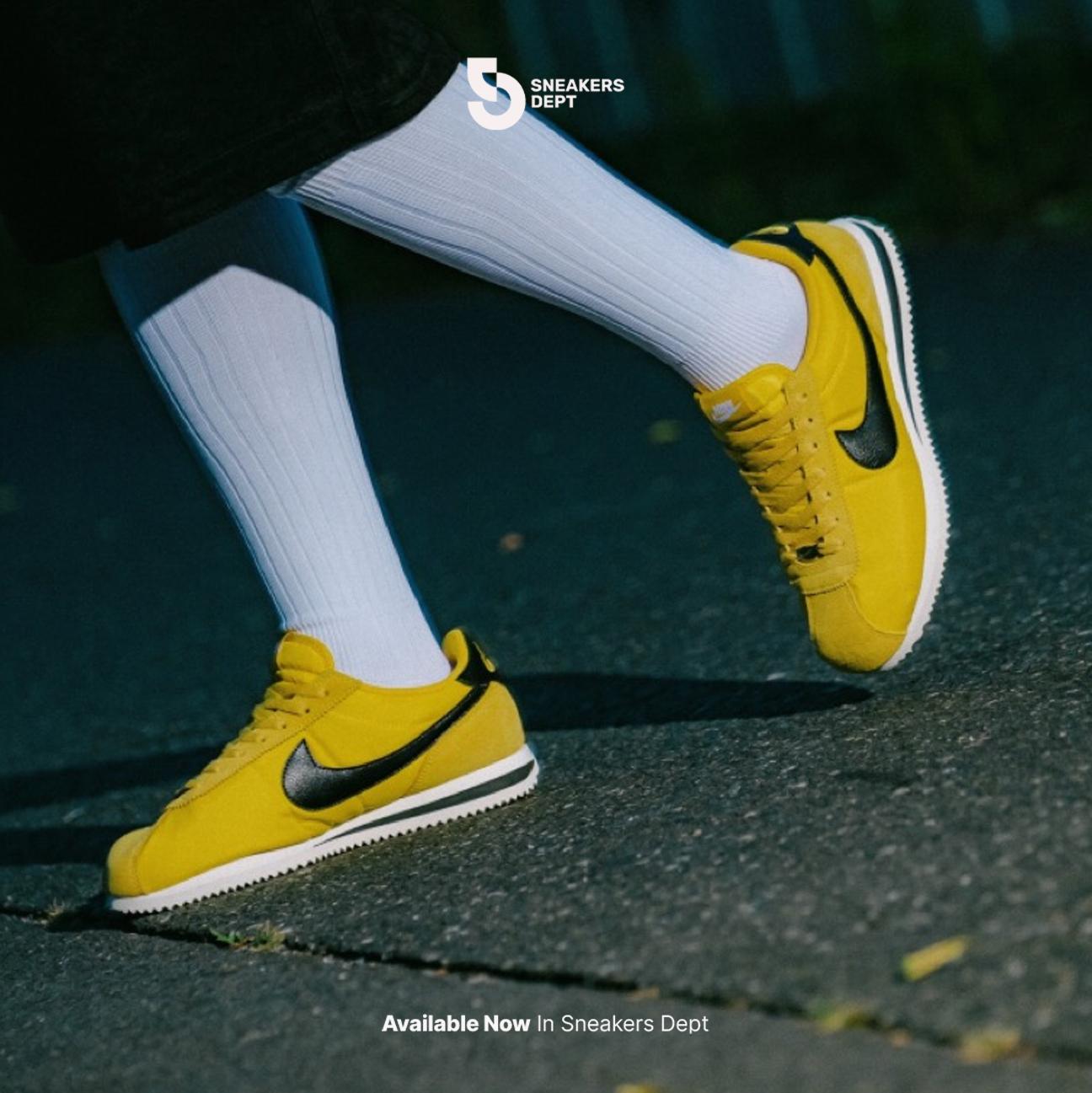 NIKE CORTEZ DZ2795700