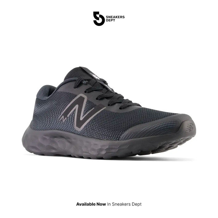 NEW BALANCE 520 V8 GP520BB8