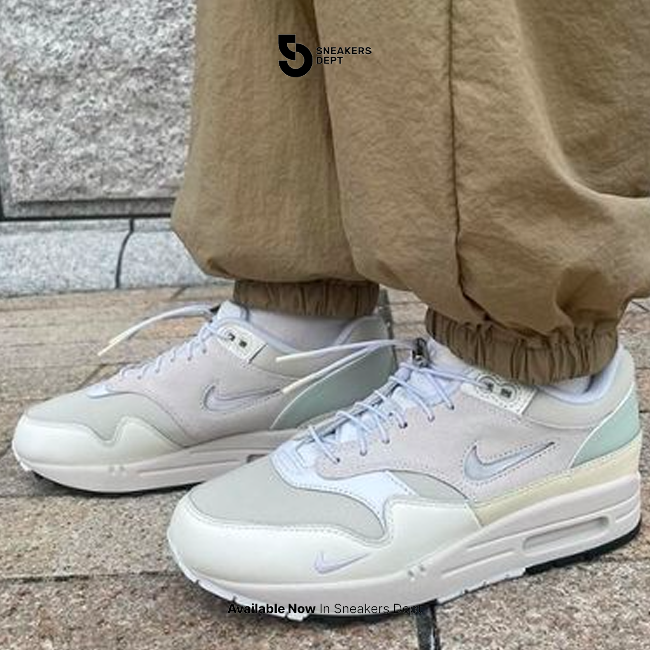 NIKE AIR MAX 1 PRM DZ5317121